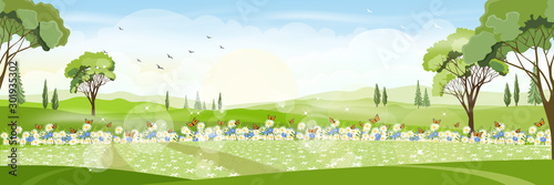 Panorama view of a beautiful summer city park,Vector cartoon Summer landscape with butterfly flying over daisy field, Nature scene with town and hill, fresh spring  scenery