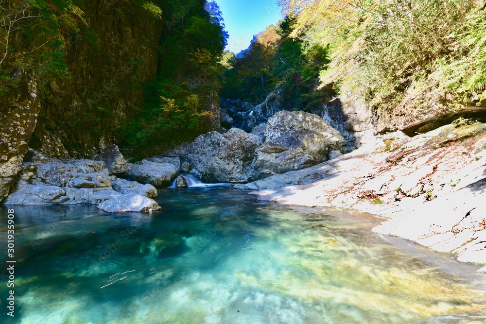 Naklejka premium river in forest