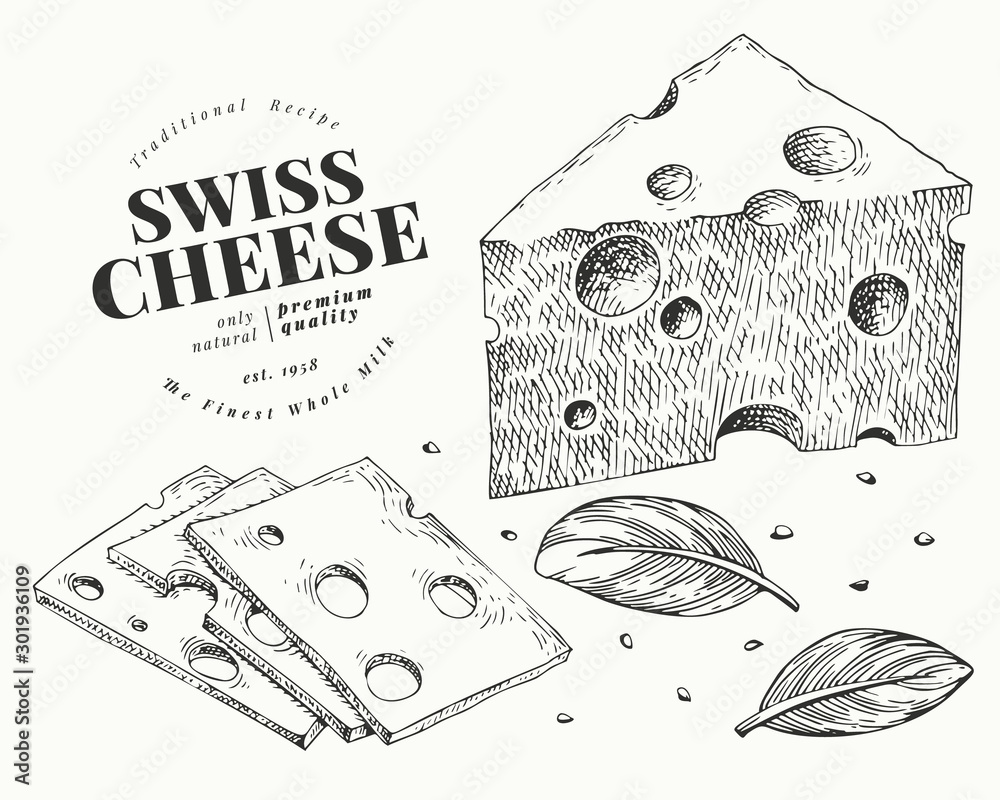 Swiss cheese illustration. Hand drawn vector dairy illustration