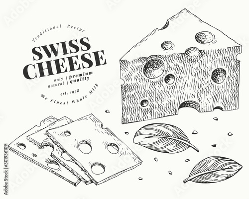 Swiss cheese illustration. Hand drawn vector dairy illustration. Engraved style emmental triangle slice cut. Vintage food illustration.
