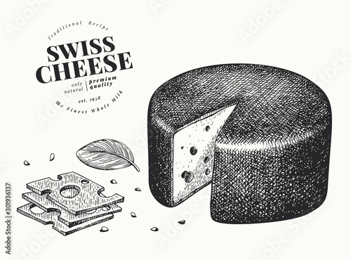 Swiss cheese illustration. Hand drawn vector dairy illustration. Engraved style emmental head. Vintage food illustration.