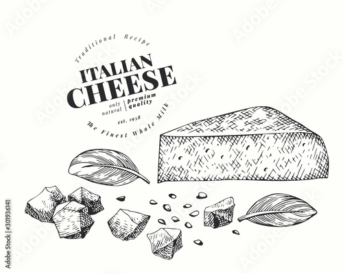 Italian cheese chunk illustration. Hand drawn vector dairy illustration. Engraved style gouda triangle slice cut. Vintage food illustration.