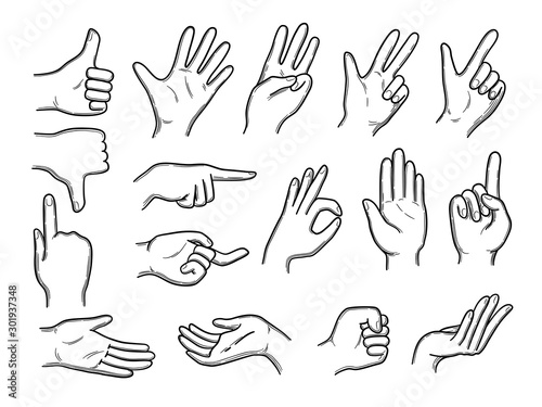 Hands doodles. Expression gestures human hands pointing shaking vector hand drawn style. Human gesture expression hand, thumb and palm illustration