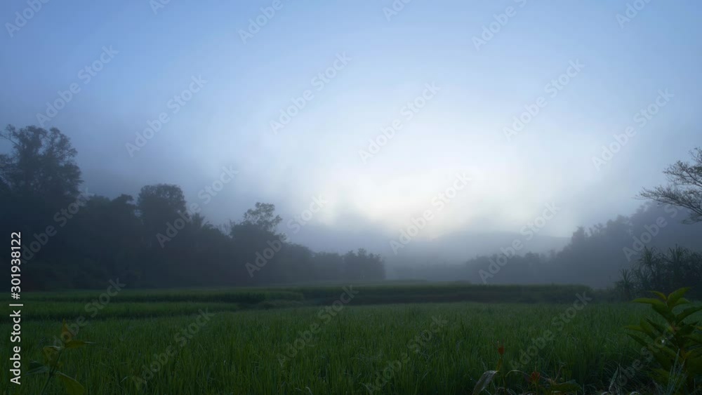 Misty agricultural land on an early morning in Karnataka. Misty agricultural land on an early morning in Karnataka.