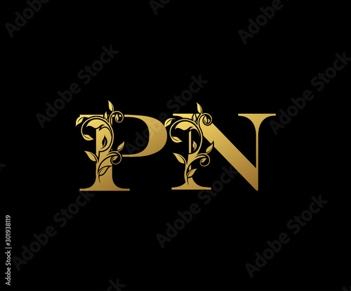 Golden letter P and N and PN vintage decorative letter logo icon.	 photo