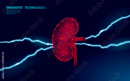 Human kidneys chronic disease hydronephrosis painful concept. Medical help therapy treatment. Urinary system cancer abdomen pain analysis prevention medicine poster template. 3D vector illustration