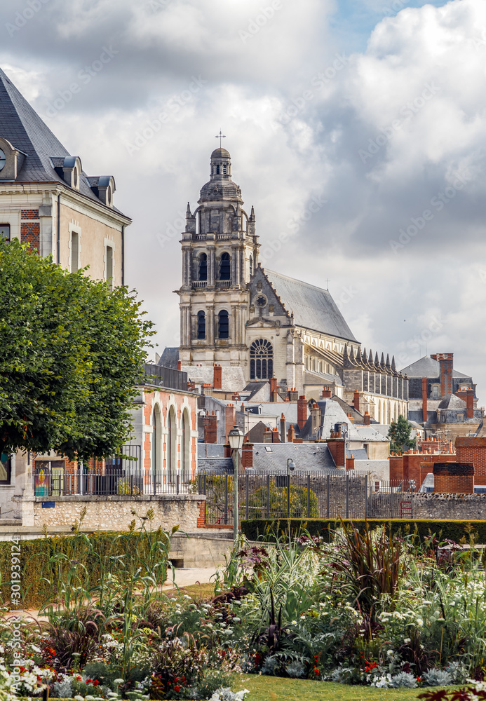 Vertical cityscape of old town of Blois with cathedral of St. Louis. Loire Valley France.