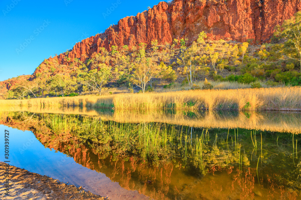 Glen Helen Gorge at West MacDonnell Ranges, Northern Territory in Central Australian Outback along Red Centre Way. Scenic red sandstone wall and bush vegetation reflected on waterhole. Glen Helen Gorge at West MacDonnell Ranges, Northern Territory in Central Australian Outback along Red Centre Way. Scenic red sandstone wall and bush vegetation reflected on waterhole.