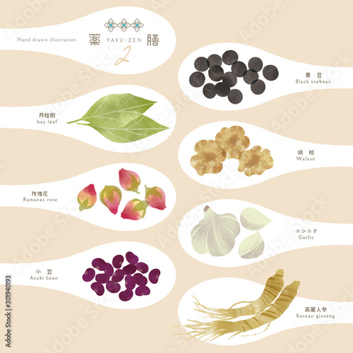薬膳 / 漢方 / ほっこり食材イラスト-2