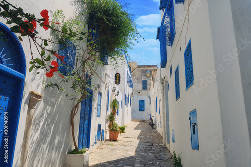 A street in the Arab city of Sidi Bou Said. House with blue windows and doors with Arabic ornaments, Sidi Bou Said, Tunisia, Africa © Андрей Журавлев