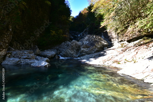 river in forest