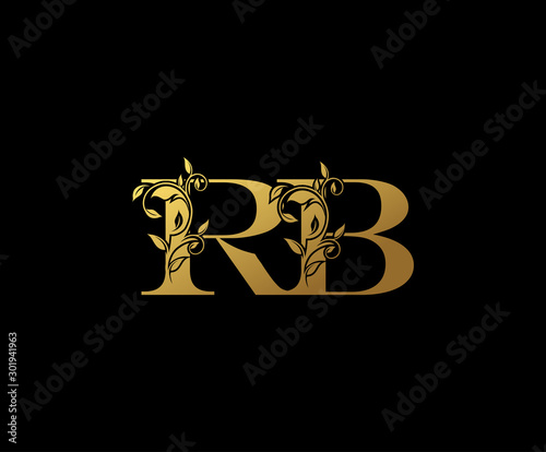 Golden letter R and B and RB  vintage decorative letter logo icon.	