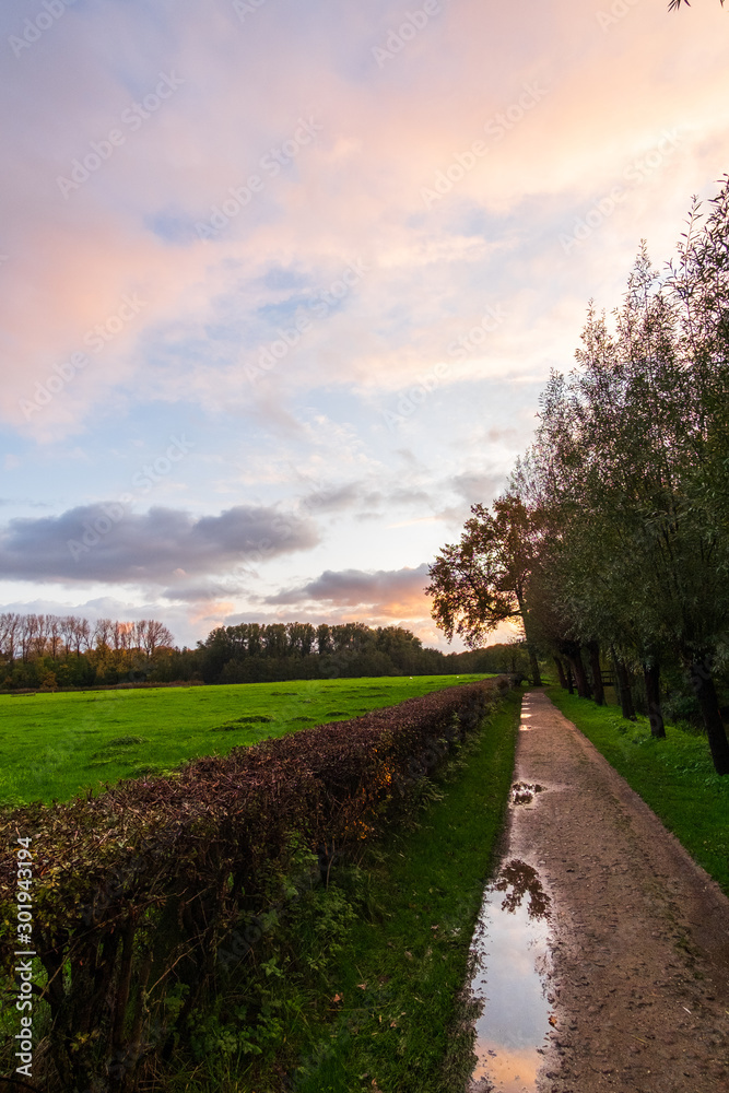 sunset road in the countryside
