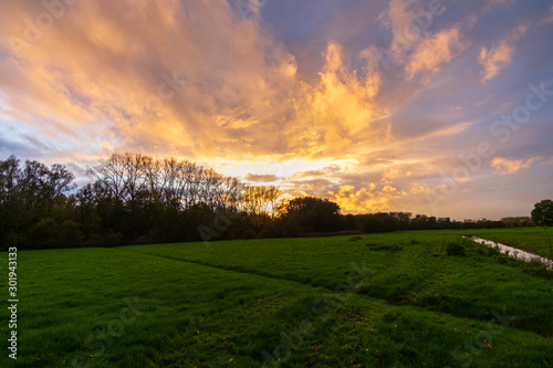 sunset over the field