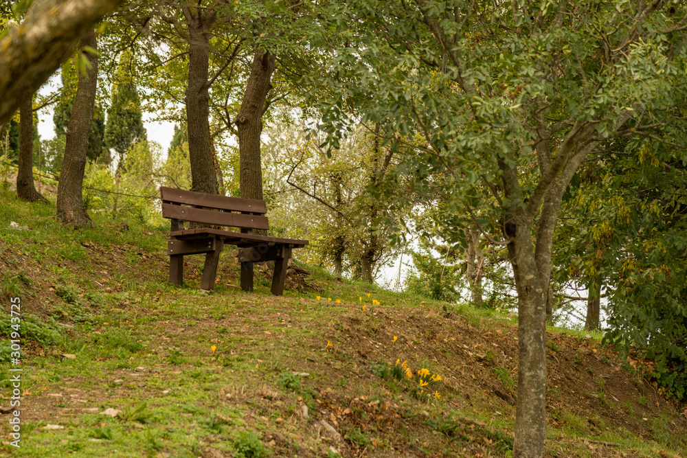 bench in the park