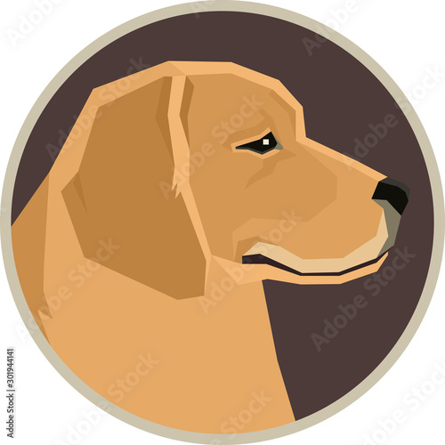 Vector illustration Dogs Golden Retriever Round frame