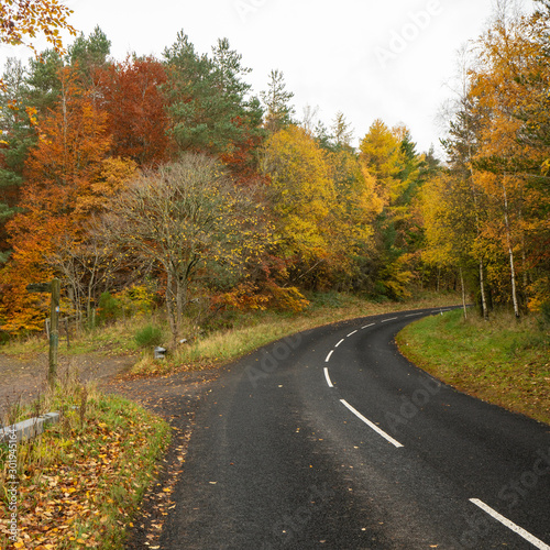 Autumn Road