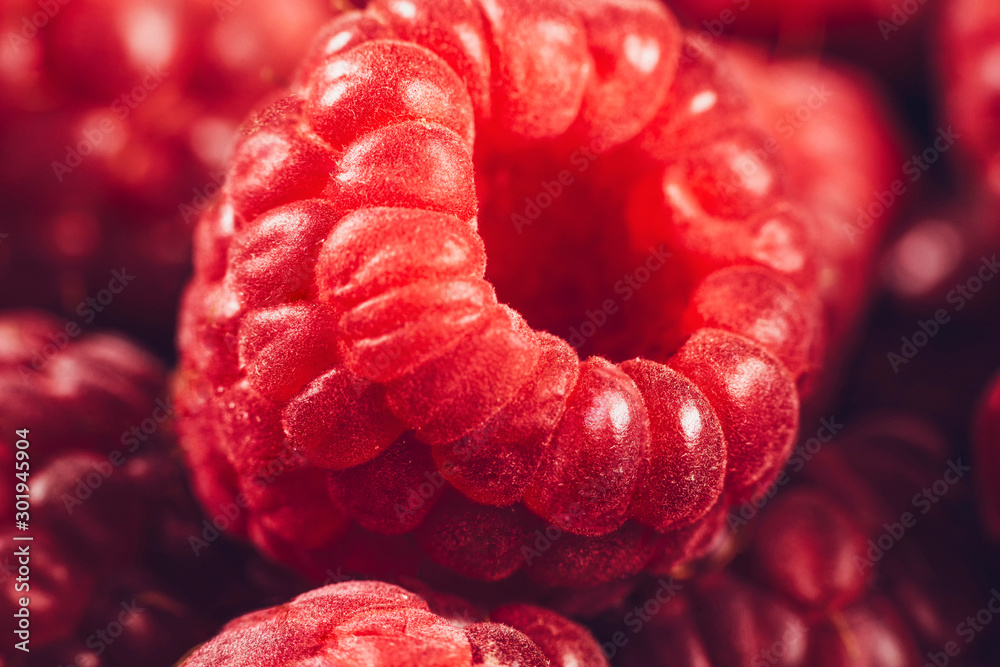 Raspberries Macro Close Up - obrazy, fototapety, plakaty 