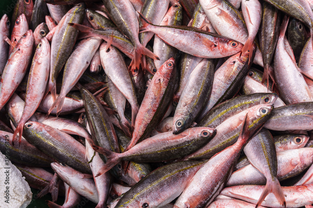 El Nido, Palawan Island, September 2018, fish catch El Nido, Palawan Island, September 2018, fish catch