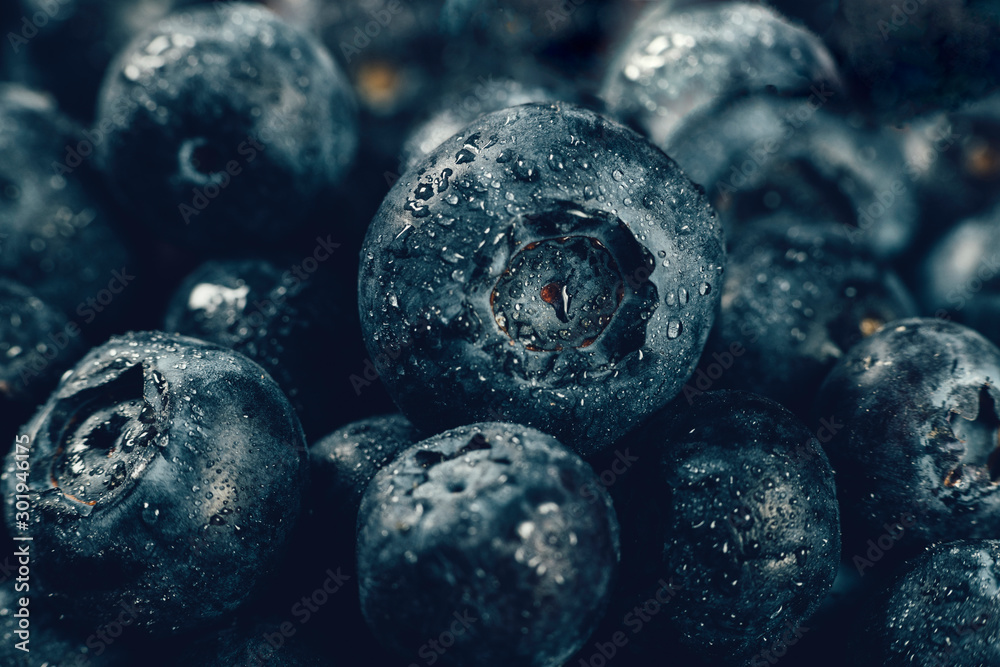 Blueberries Close Up - obrazy, fototapety, plakaty 