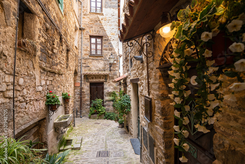 Fototapeta Naklejka Na Ścianę i Meble -  Vista del borgo medievale di Apricale, Liguria, Italia