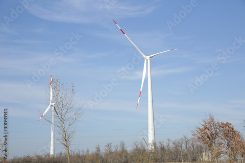 wind turbines in a field and forest belt against a background of yellow leaves and blue sky. Eco power electricity. Wind Turbine Power Generation. Ecology concept. Power electricity concept.