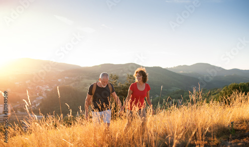 Senior tourist couple travellers hiking in nature at sunset, holding hands.