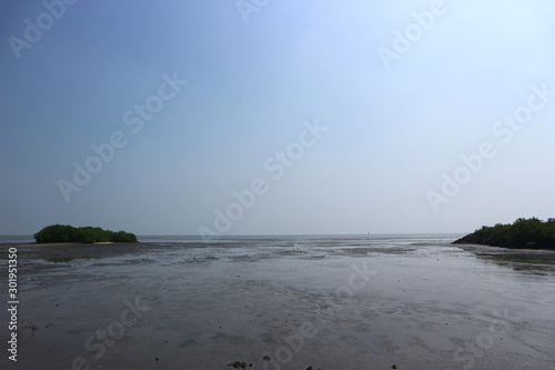 The seaside that sees the muddy ground at low tide.