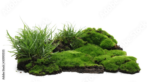 Green moss on soil, dirt pile with grass isolated on white background © dule964