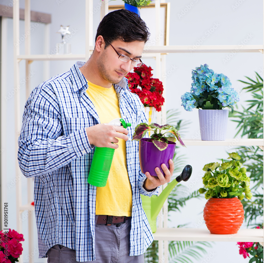 Gardener florist working in a flower shop with house plants Gardener florist working in a flower shop with house plants