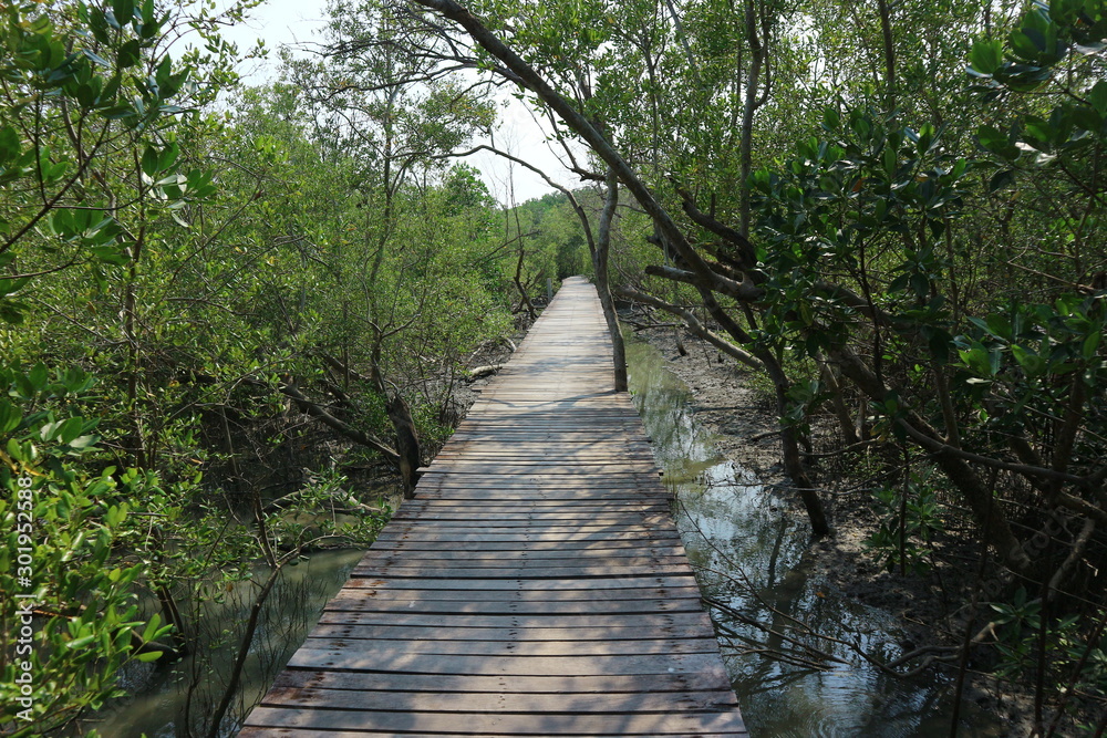 The wooden bridge in the mangrove forest extends to the sea The wooden bridge in the mangrove forest extends to the sea