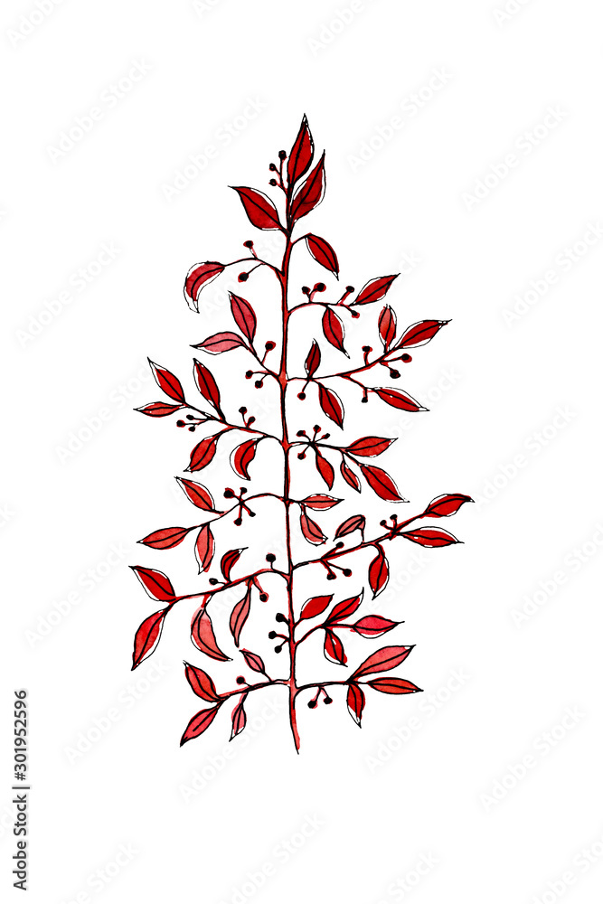 shrub Laurel painted with liner and watercolor shrub Laurel painted with liner and watercolor