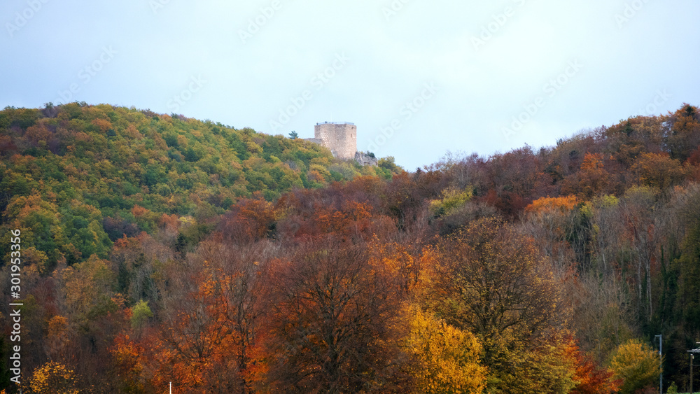 Forest in autumnal colors. In the background the ruins of castle Ladskron
