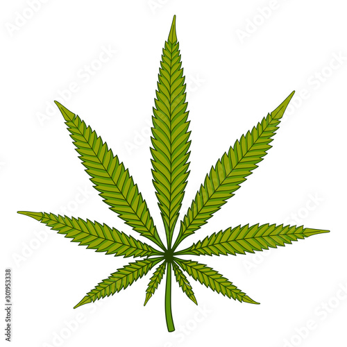 Icon of Hemp Leaf