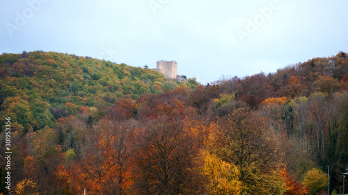 Forest in autumnal colors. In the background the ruins of castle Ladskron