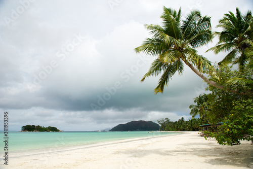 Scenic view of storm clouds brewing on the horizon behind palm trees on a sunny tropical white sand beach