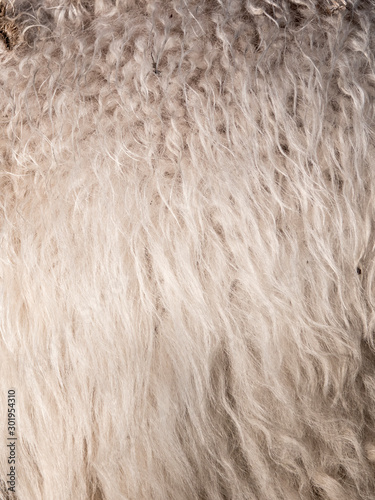 rough natural white sheepskin