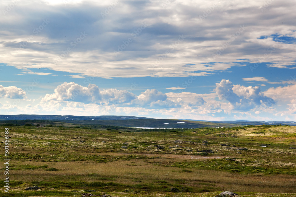 Tundra landscape in the north of Russia Tundra landscape in the north of Russia