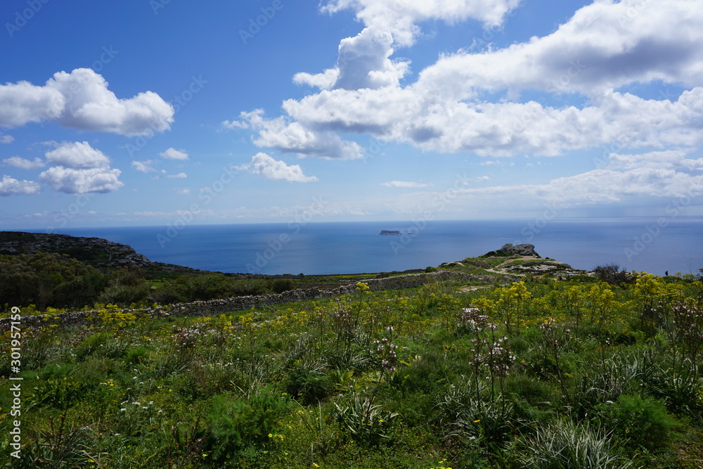 Dingli Cliffs in Malta, the point with stunning view, rocky and uninhabited island Filfla at the background.