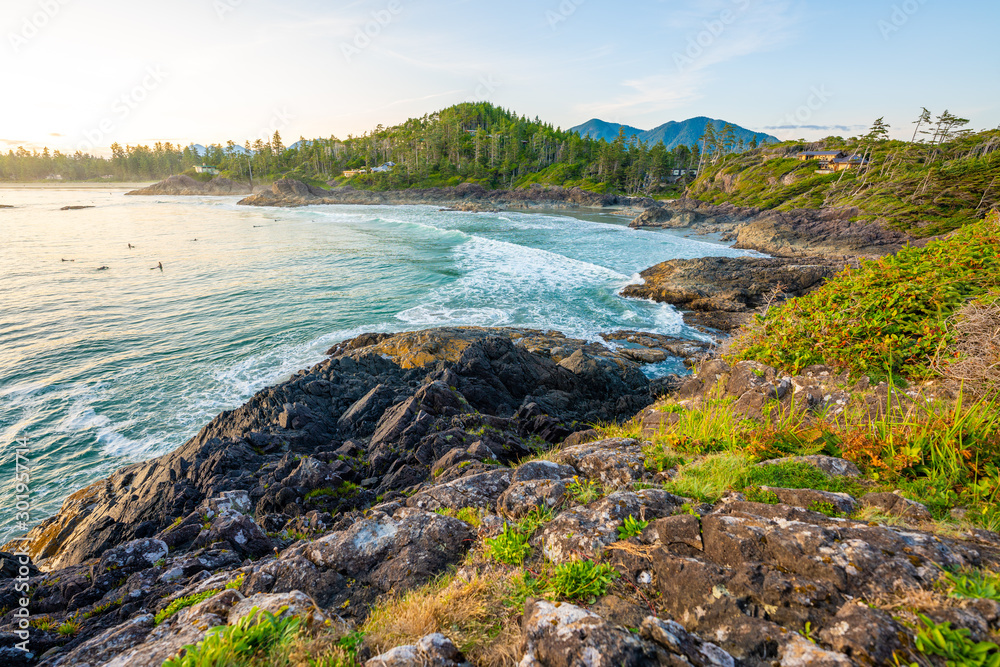 Tofino Harbour, Vancouver Island. British Columbia, Canada. Long Beach at sunset Tofino Harbour, Vancouver Island. British Columbia, Canada. Long Beach at sunset