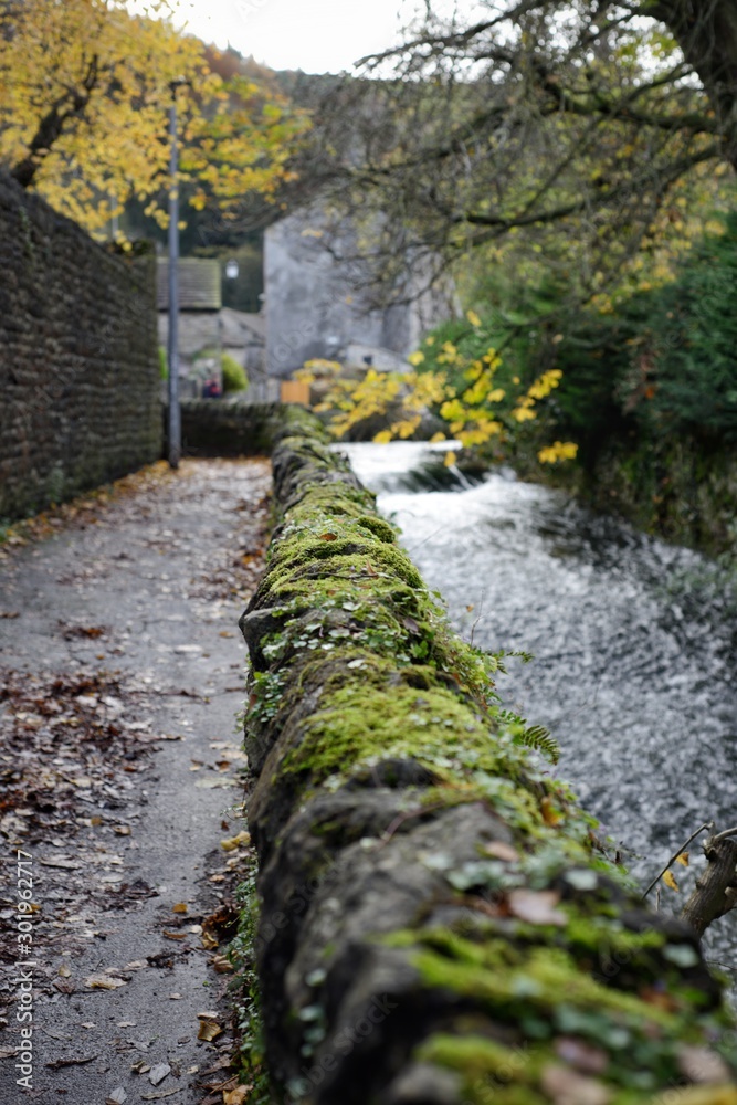 Moss growing on a dry stone wall alongside a stream in Autumn / Fall with bokeh