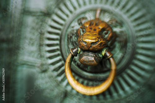 Traditional lion doorknocker in worn brass with green patina on an ancient door in Paris, France photo