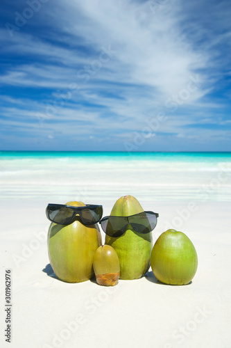 Family of green coconuts posing for a vacation photo on a sunny tropical beach holiday