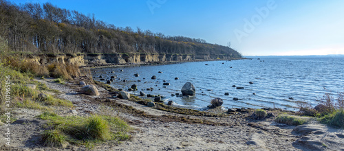 Fototapeta Naklejka Na Ścianę i Meble -  Eroded steep coast cliff line on the west coast bay of the German island Poel with forest on top and a stony sand beach in the Baltic Sea on a sunny day, blue sky with copy space, panorama format