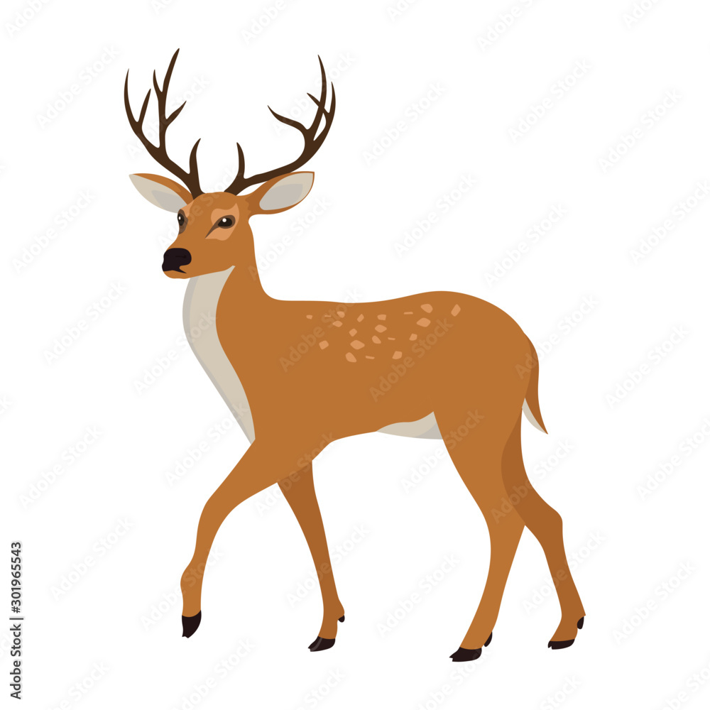 Cute deer with antlers. Cartoon style drawing Stock Vector | Adobe Stock