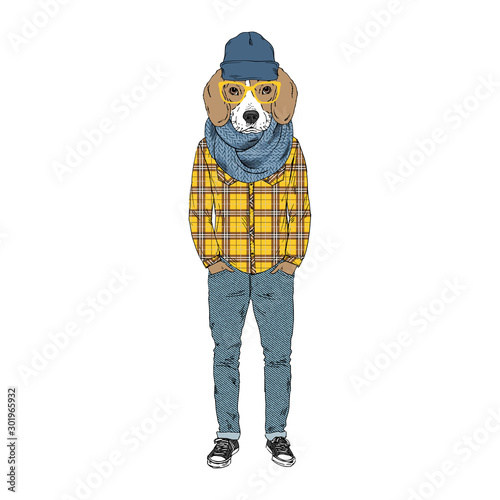 Humanized Beagle breed dog dressed up in hipster city outfits. Design for dogs lovers. Fashion anthropomorphic doggy illustration. Animal wear plaid shirt, jeans, glasses, beanie hat, scarf. Hand