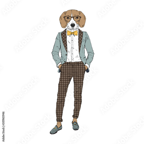 Humanized Beagle breed dog dressed up in retro outfits. Design for dogs lovers. Fashion anthropomorphic doggy illustration. Animal wear suit, tie bow, glasses. Hand drawn vector.