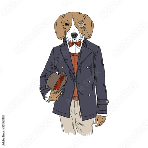 Humanized Beagle breed dog dressed up in vintage outfits. Design for dogs lovers. Fashion anthropomorphic doggy illustration. Animal wear coat, tie bow, monocle, bowler hat. Hand drawn vector.