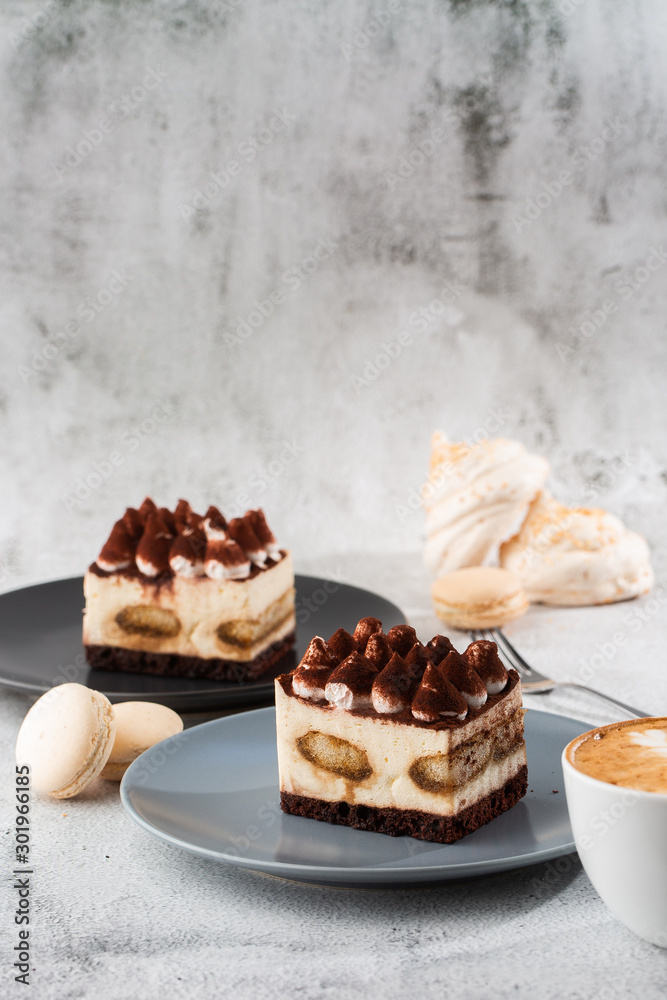 Tiramisu - Classical dessert with mascarpone and coffee. Delicious Tiramisu cake on a darck plate on a light marble background. Vertical photo.
