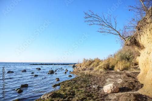 Sloping tree just before overthrowing at the edge of the washed out steep coast cliff on the German island Poel in the Baltic sea near Wismar, copy space in the blue sky